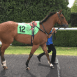 What Is a Handicap Race in Horse Racing?