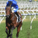 What Makes a Great Jockey?