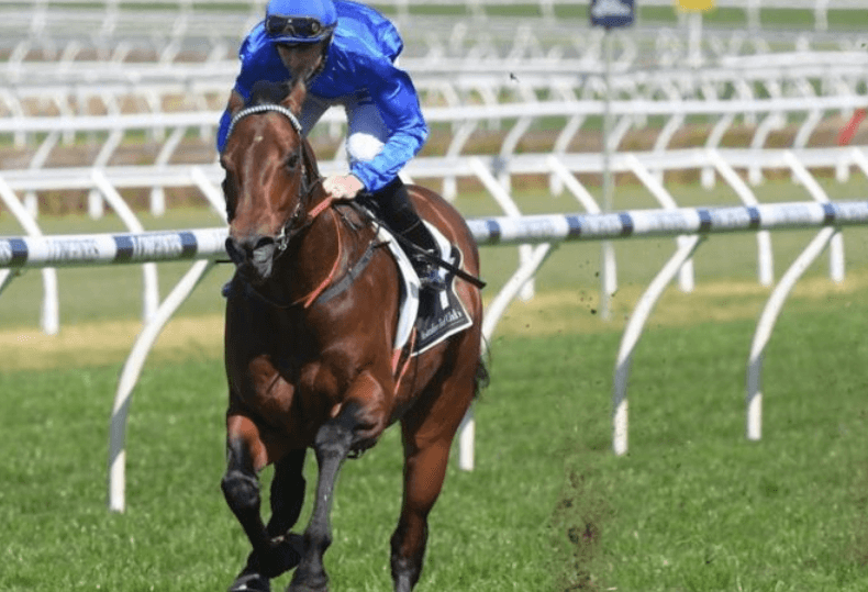 What Makes a Great Jockey?
