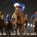 What Makes a Great Racehorse? Key Traits to Look For