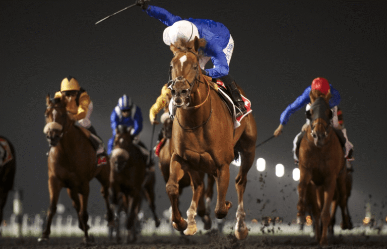 What Makes a Great Racehorse? Key Traits to Look For