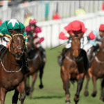 What Makes Horse Racing So Addictive for Fans?