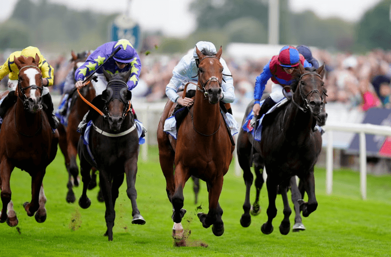 What Makes the Perfect Horse Racing Day Out?