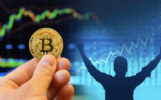Success Stories of Crypto Adoption